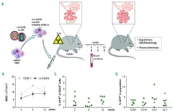 Effective hematopoietic stem cell-based gene therapy in a murine model of hereditary pulmonary alveolar proteinosis