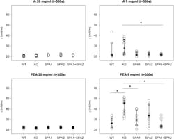 Human Pulmonary Surfactant Protein SP-A1 Provides Maximal Efficiency of Lung Interfacial Films