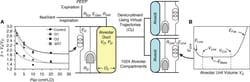 Alveolar Micromechanics in Bleomycin-induced Lung Injury