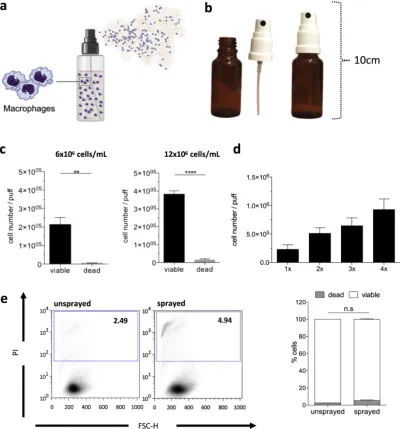 An immune cell spray (ICS) formulation allows for the delivery of functional monocyte/macrophages