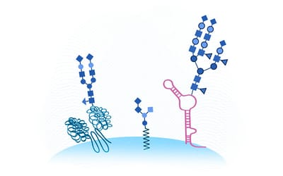 Cell surface RNA expression modulates alveolar epithelial function