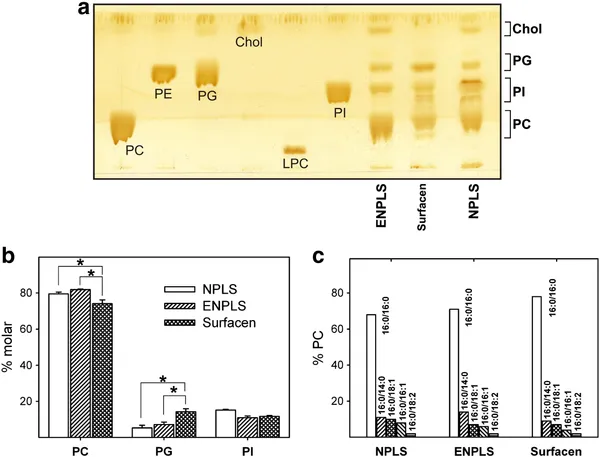 Interfacial behavior and structural properties of a clinical lung surfactant from porcine source