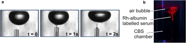 Exposure to polymers reverses inhibition of pulmonary surfactant by serum, meconium, or cholesterol in the captive bubble surfactometer