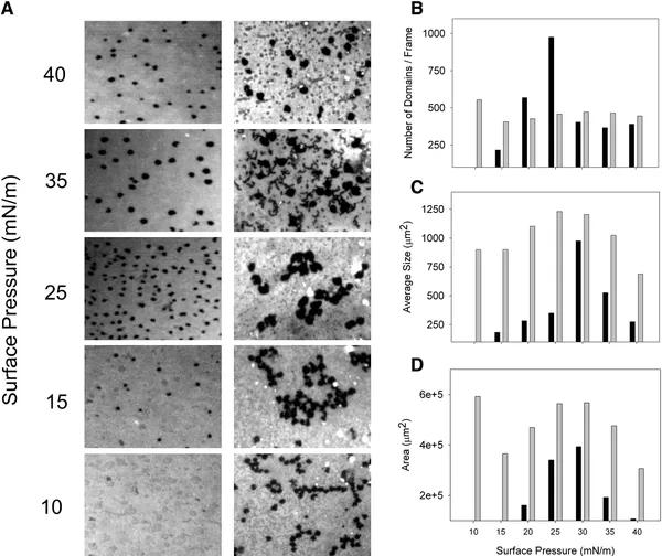 Meconium impairs pulmonary surfactant by a combined action of cholesterol and bile acids