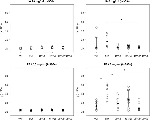 Human Pulmonary Surfactant Protein SP-A1 Provides Maximal Efficiency of Lung Interfacial Films