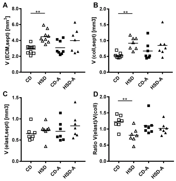 Voluntary Activity Modulates Sugar-Induced Elastic Fiber Remodeling in the Alveolar Region of the Mouse Lung