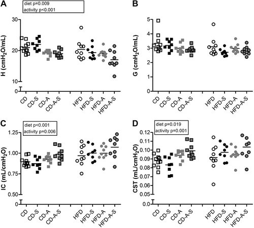 Spermidine supplementation and voluntary activity differentially affect obesity-related structural changes in the mouse lung