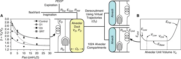 Alveolar Micromechanics in Bleomycin-induced Lung Injury